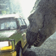 Illustration for article titled Steven Spielberg is serious about making Jurassic Park 4